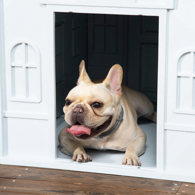 Niche pour chien en plastique, abri pour chiot résistant à l'eau intérieur / extérieur avec porte, facile à assembler, pour chiens de taille moyenne et petite, bleu