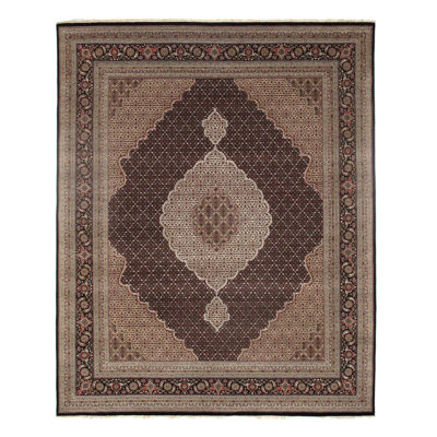 Oriental Area Rug in Brown