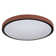 Ceiling light