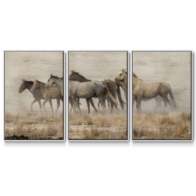 " Roaming Free " 3 - Pieces