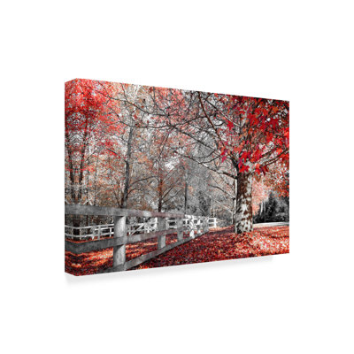 « automne rouges iii », photographie sur toile