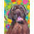 Labrador (brun) sélectionné