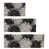 Black Floral est en rupture de stock