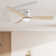 52'' Ceiling Fan with LED Lights