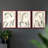 Equine  Series  CXVI  -Set Of 3 Framed Giclee Prints -Ready to Hang-966778718-966778716