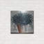 «Remarkable Succulents I» par Cindy Jacobs-796991515
