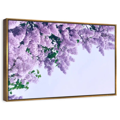 Délicats lilas mauves