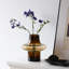Vases de table Amber-129409495