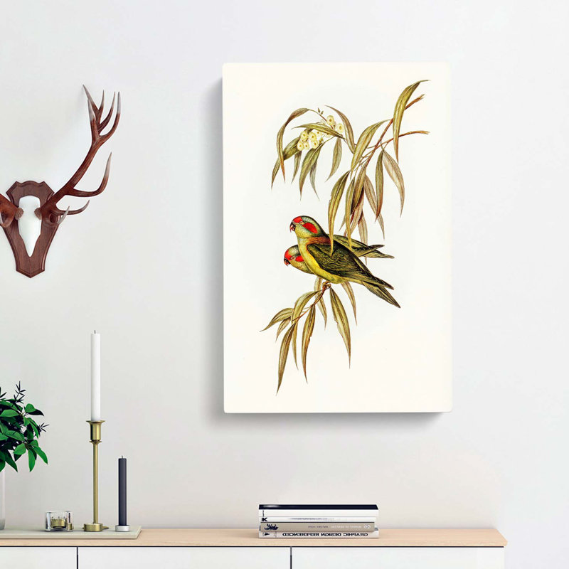 Musky Lorikeets by Elizabeth Gould - Wrapped Canvas Painting, 76cm H x 50cm W x 3cm D