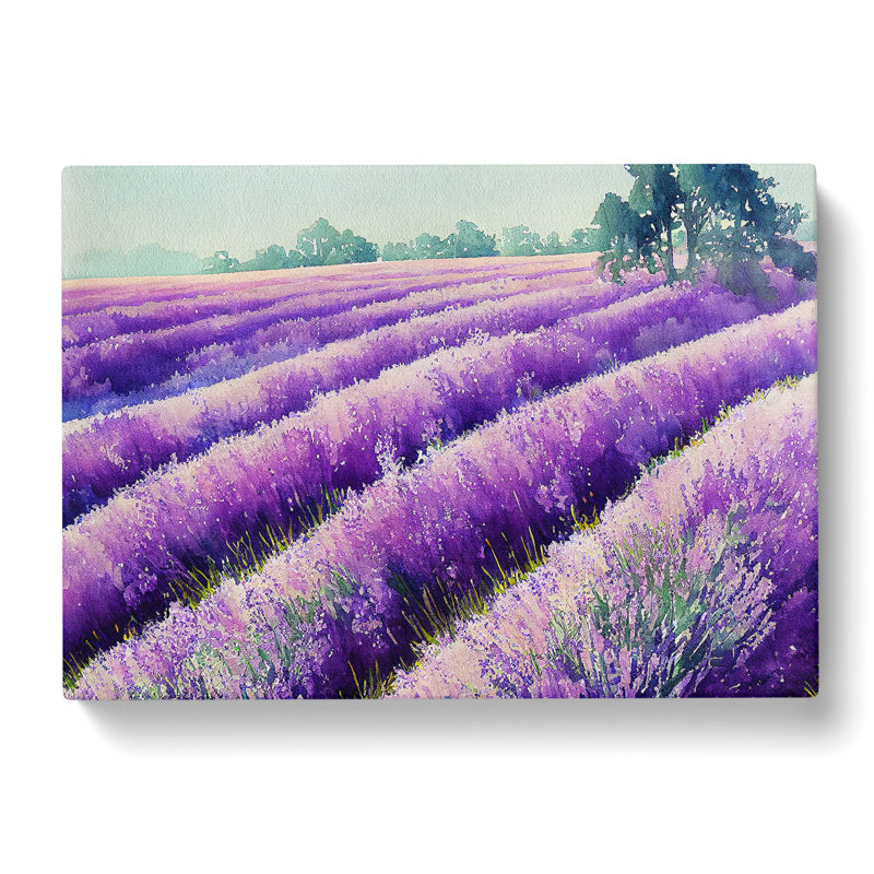 Watercolour Lavender Field Vol.7 - Wrapped Canvas Print, 35cm H x 50cm W x 3cm D