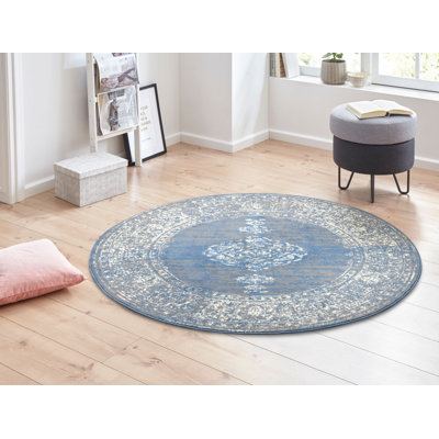 Mridional Sky Blue Rug