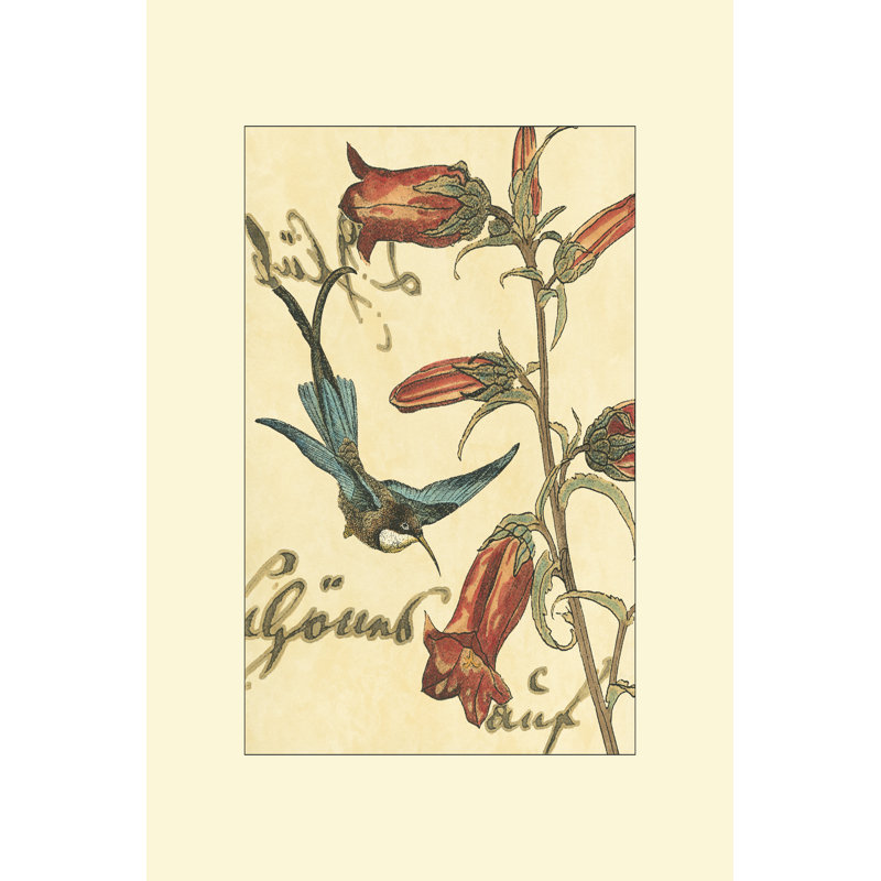 Hummingbird Reverie I by Vision Studio - Wrapped Canvas Print, 76cm H x 51cm W x 3.8cm D