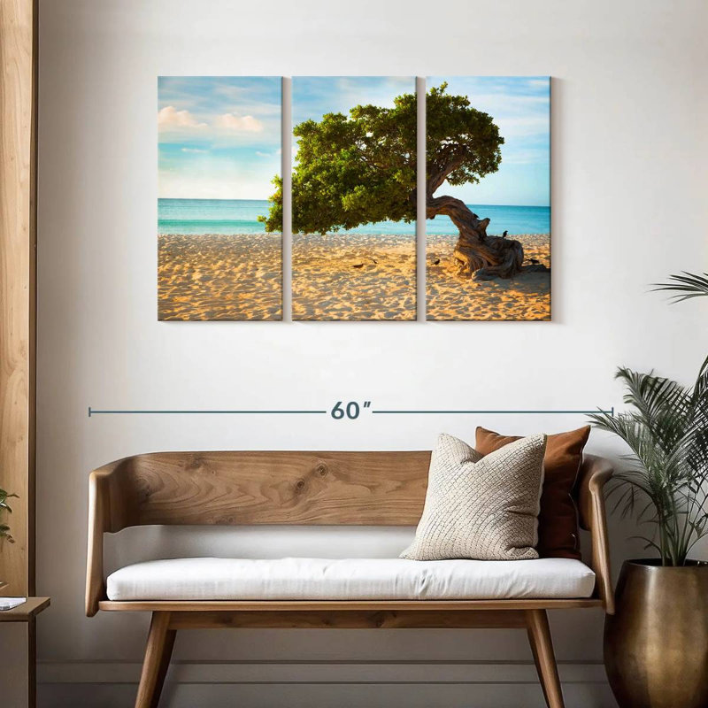 Arbre Gillard Divi-Divi à Aruba, H 28 po x l 45 po