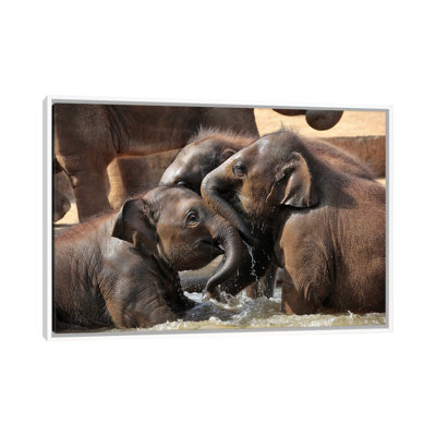 Water Fun by Antje Wenner-Braun - Print on Canvas