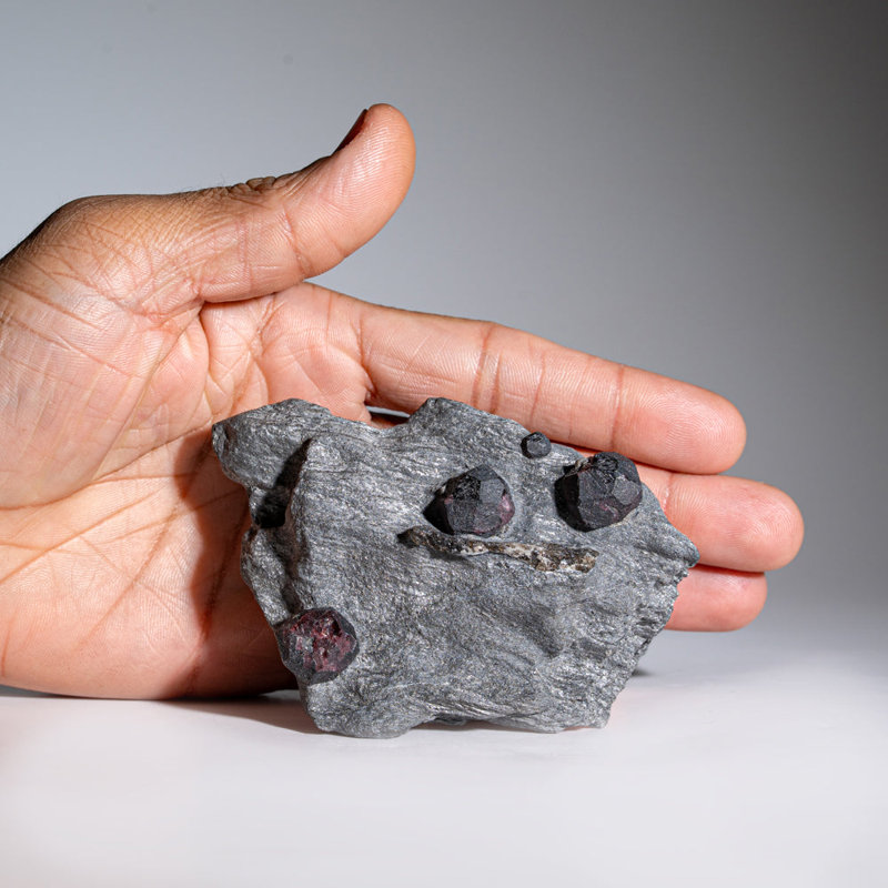 Garnet In Graphite From Erving, Franklin County, Massachusetts