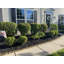 Bordure de jardin-48898362-48898361