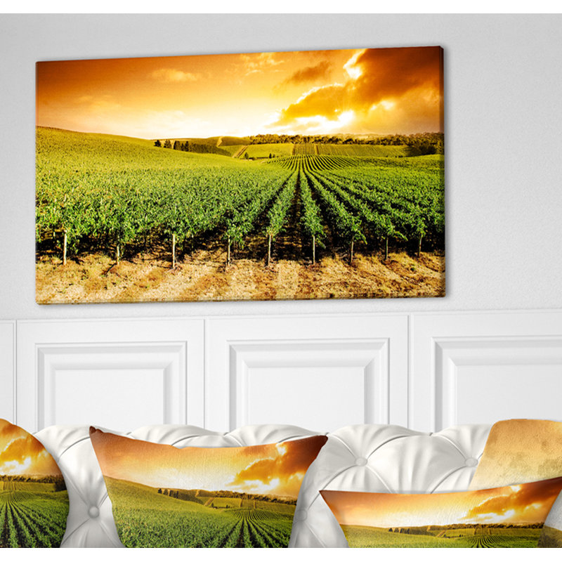 Sunset Vineyard Panorama - Photographie sur toile tendue, H 20 po x l 40 po x P 1po