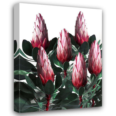 Art sur toile tendue par Red Barrel Studio® Carratoni, Emanuela, Protea Cynaroides