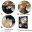 Opulentes reflets lotus-1732740212-1732740169