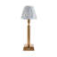 Trobridge Rechargeable Metal Table Lamp-105031188