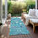 Chayden Indoor/Outdoor Chantille ACN1009 Area Rug