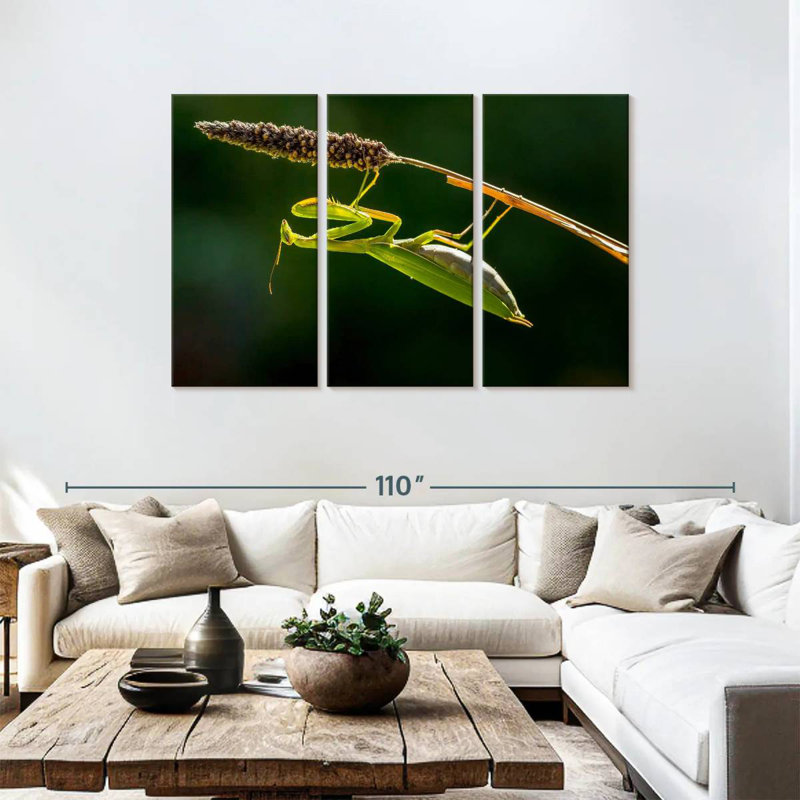 Hanging Praying Mantis, 48" H x 74" W