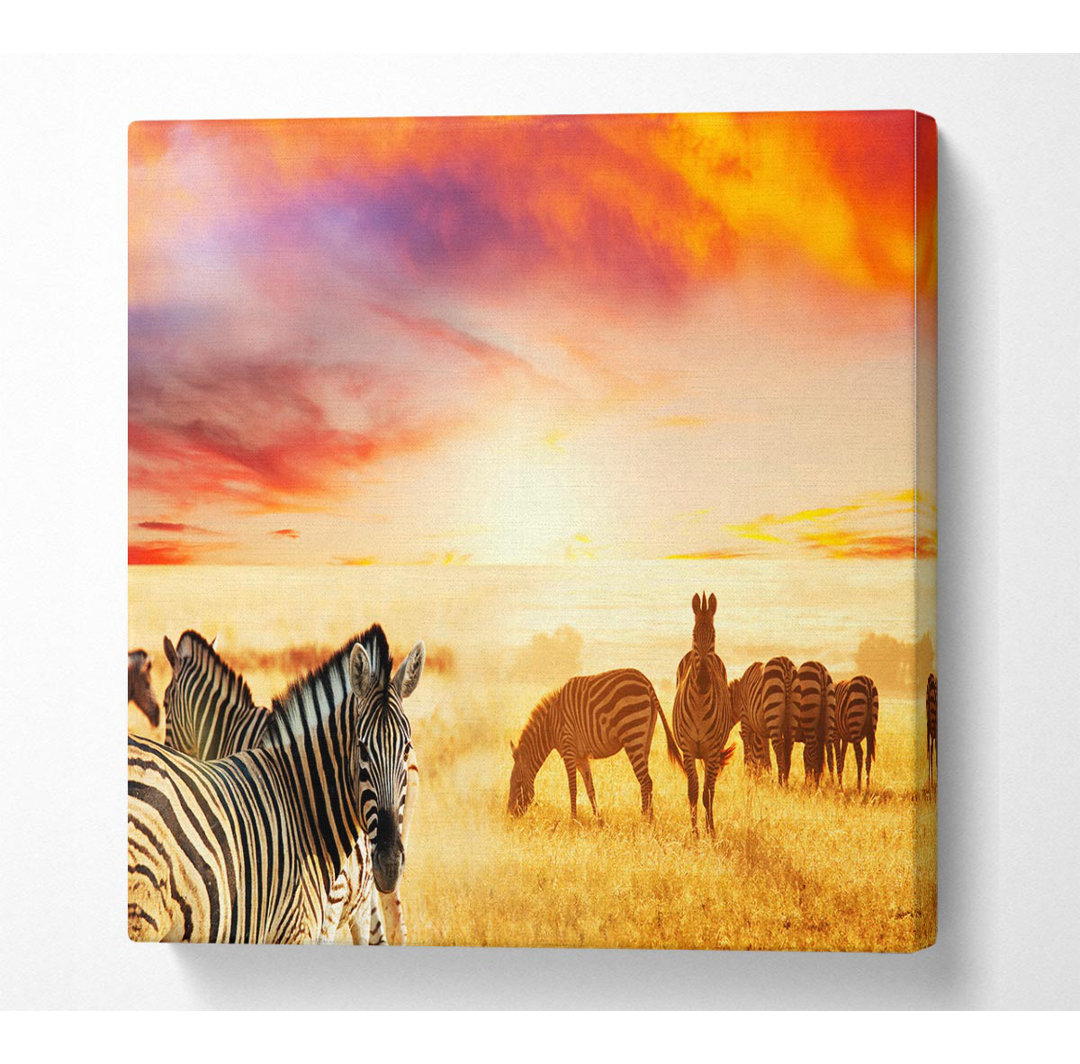 Zebra Sonnenuntergang Safari - Kunstdrucke auf Leinwand