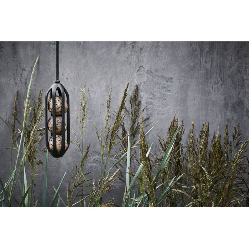 Suet Bird Feeder
