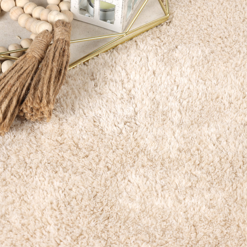 Helston California Shag Solid Polyester Non-Slip Indoor Area Rug With Foam Backing, Rectangle 2' x 3'