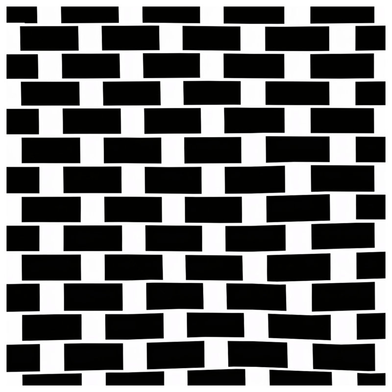 Édredon noir à damier blanc, Twin Extra Long