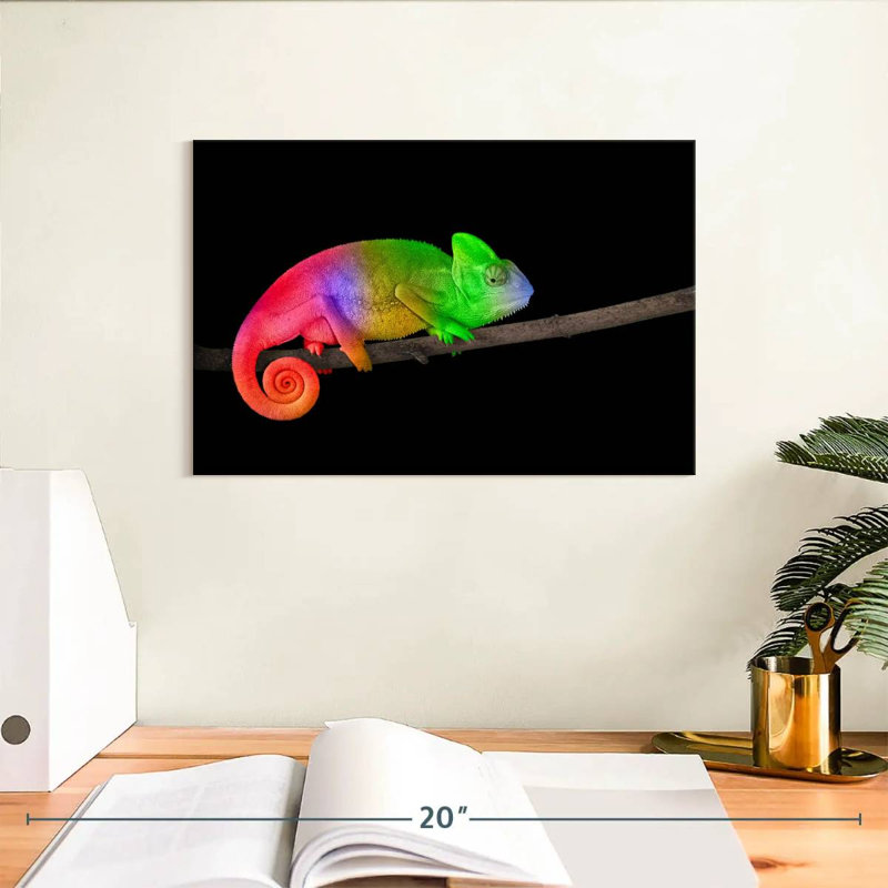 Caméléon arc-en-ciel Brampt, H 8 po x l 12 po