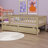 Kaelum Daybed-1964800657-1964800686
