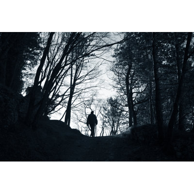 Marcher dans les bois par Casarsa