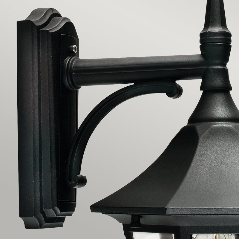 Aelia 54cm H Outdoor Wall Lantern, Black