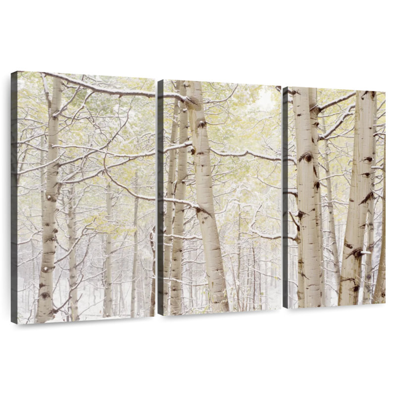 Harnek Autumn Aspens With Snow Colorado, États-Unis, H 28 po x l 45 po
