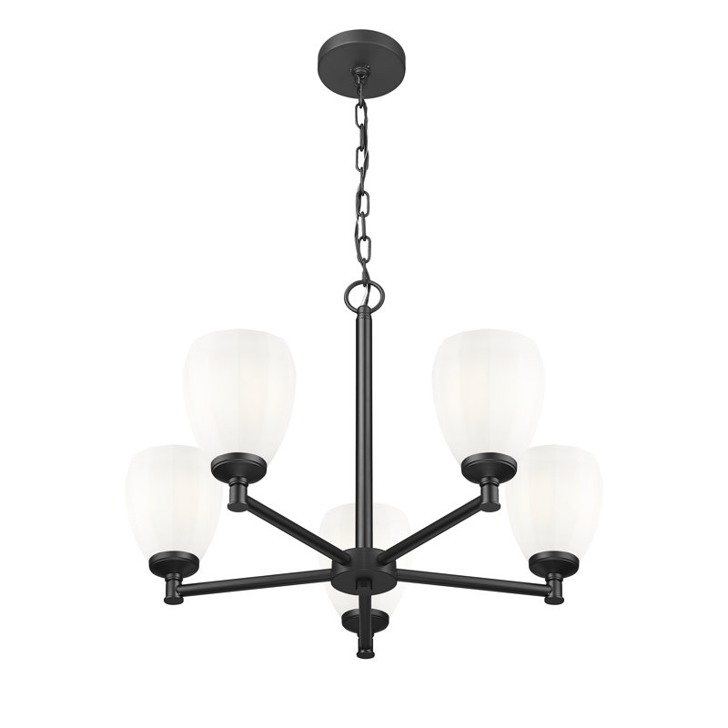 Lustre moderne Mattera, 5 lumières, H 18,25 po x l 25 po x P 25 po, Noir mat