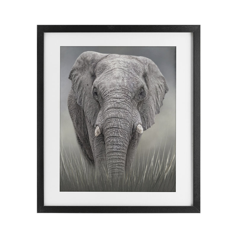 «Graceful Titan Elephant», reproduction sous verre encadrée, design par Kelley Parker, H 16 po x l 13 po, Cadre noir minuit