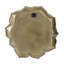 Plaque murale succulente D10x1,4 ", 2 pièces-1491303202