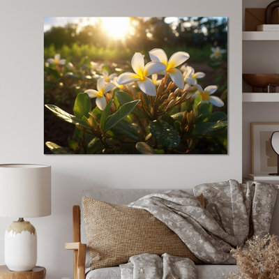 Jaune jaune blanc exotique Plumeria Blooms III sur toile