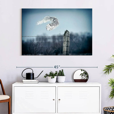 Brampt Winter Snowy Owl IV