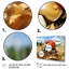 Curious Ladybug Meadows - art de coccinelle-1127766384-1127766385