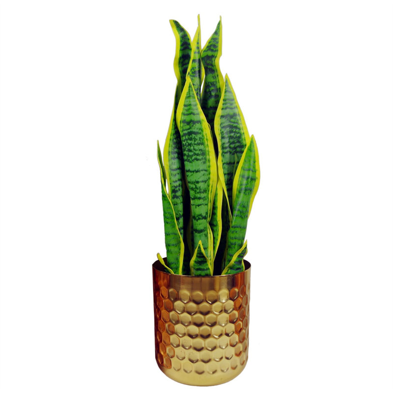 Concepcion Handmade Metal Cachepot, Gold