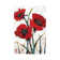 Red Poppy Fresco I by Tim OToole - Wrapped Canvas Print