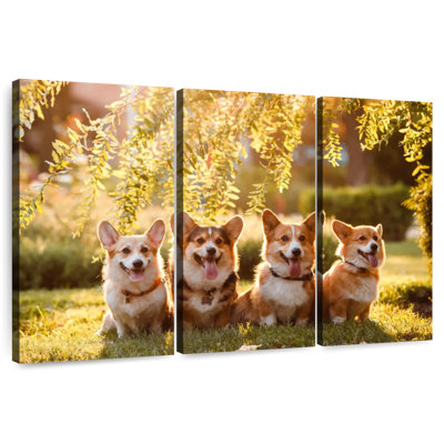 Portrait de famille Brampt Corgi