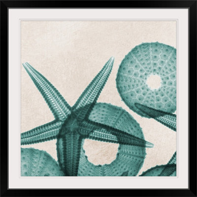 « iv x-ray » par albert koetsier,, reproduction de photo Under the Sea