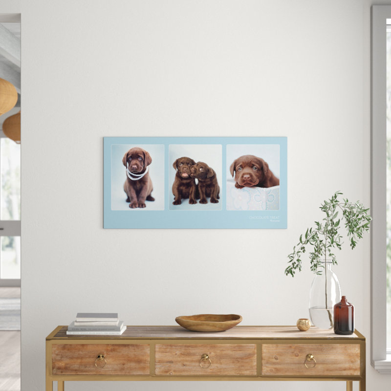 Rachael Hale - No Frame Print
