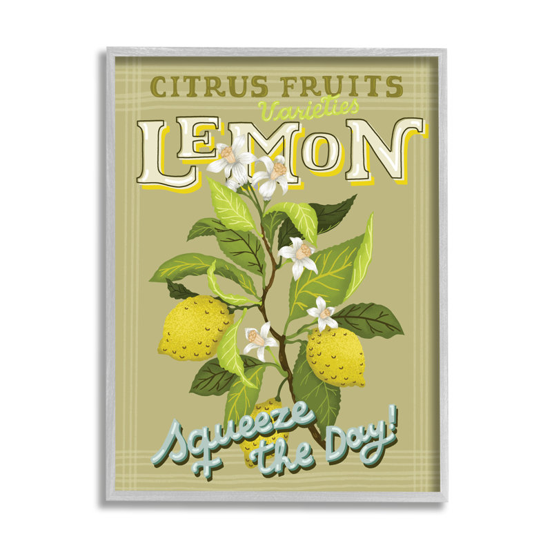 Citron vintage «Squeeze» par Andrea Jasid Grassi, H 14 po x l 11 po x P 1,5 po, Estampe numérique Farmhouse