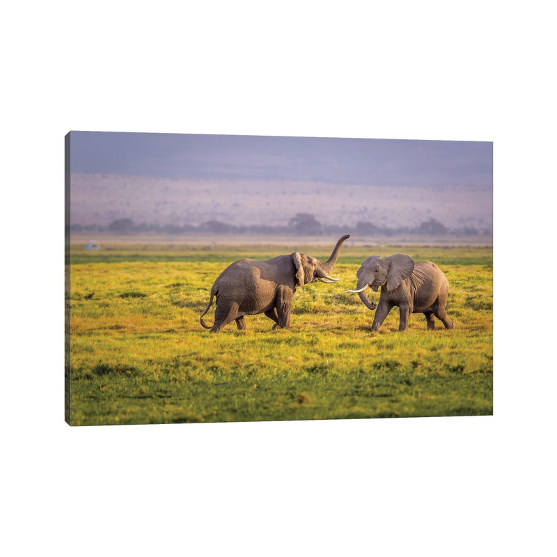 I'll Teach You by Ted Taylor - Wrapped Canvas Print, 101.6 cm H x 66.04 cm W x 3.175 cm D
