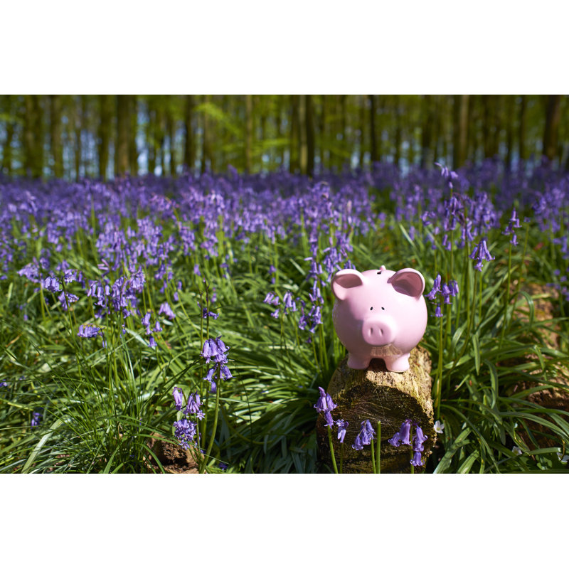 Piggy Bank Amongst The Bluebells by Simonbradfield - No Frame Art Prints on Canvas, 20cm H x 30cm W