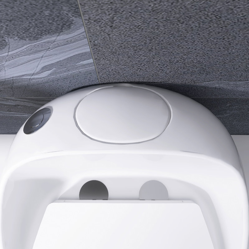 Single Flush Egg Shape Toilet In Glossy White